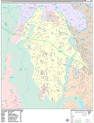 Aliso Viejo Wall Map Premium Style
